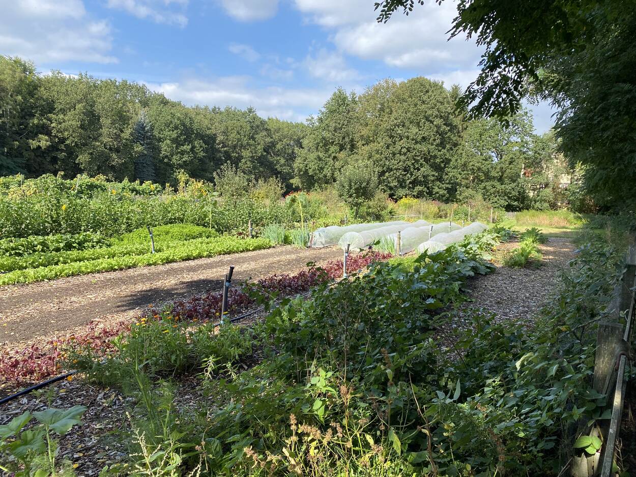 Market garden vanaf de andere kant