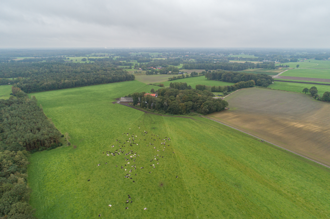 luchtfoto erve mentink