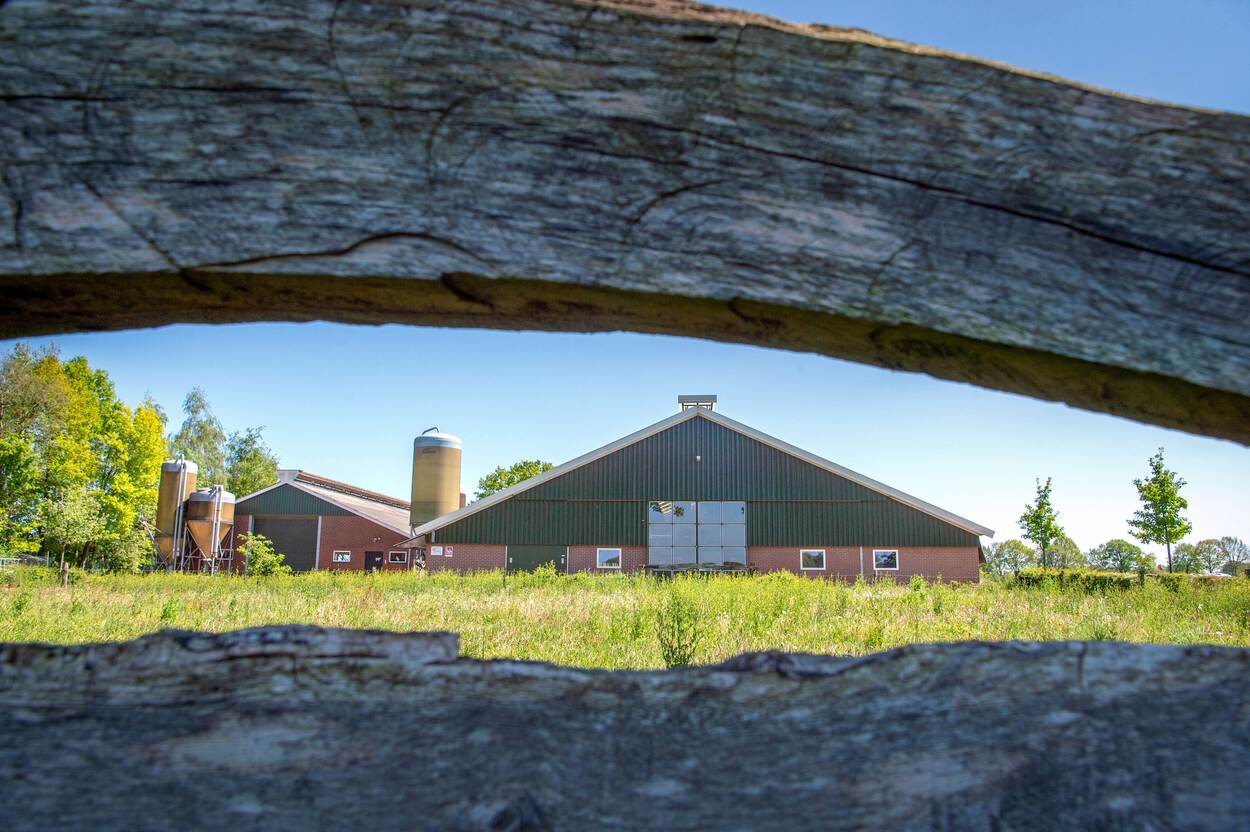 De boerderij van Rogier Lansink