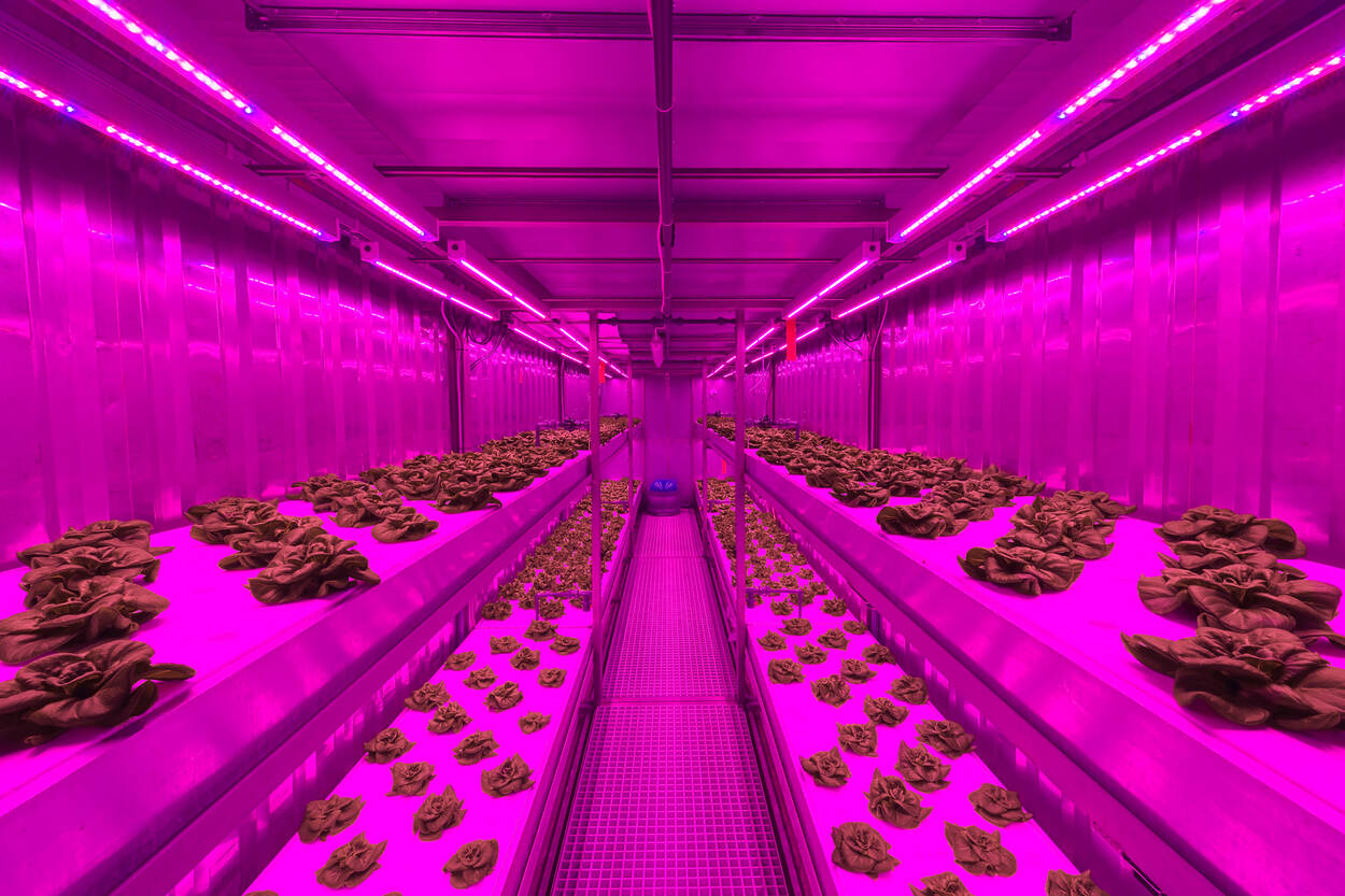 testopstelling in een Indoor growing unit van Priva