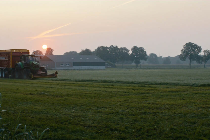 Gras maaien