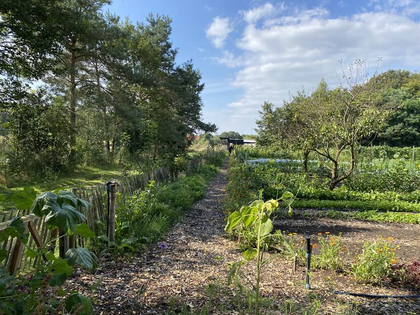 De 'market garden' vanaf de andere kant gezien