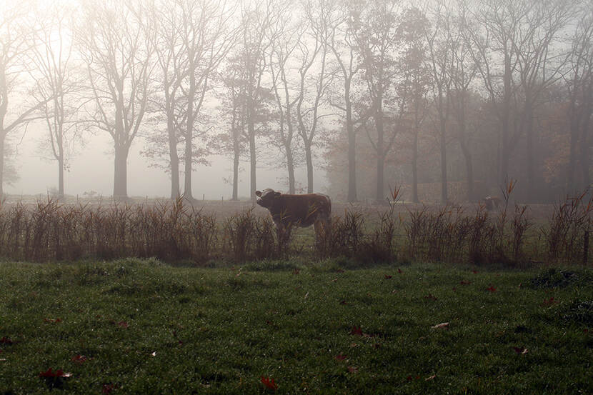 De Melkbrouwerij 1