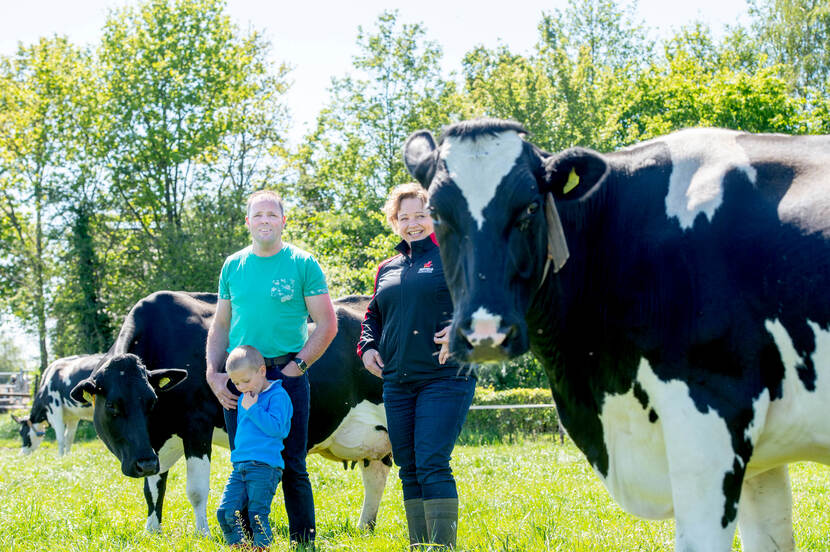 Familie Lansink tussen de koeien