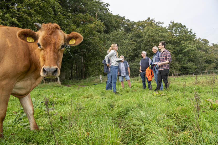 Demodag Sprangers