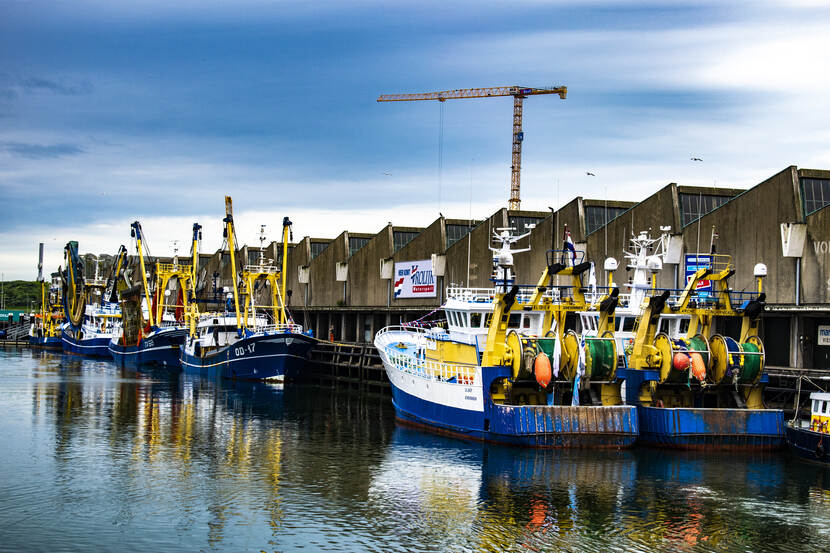 Kotters liggen aan de kade bij de visafslag